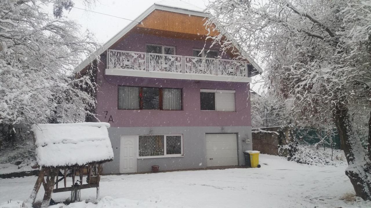 Vakacio Apartman 발라톤알마디 외부 사진